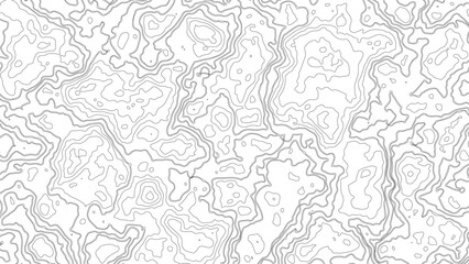 Topography background. Vector banner. Topography background. Vector geographic contour map. Topographic map patterns, topography line