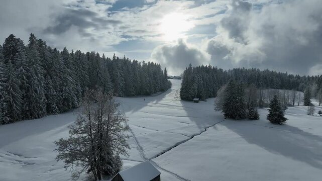 flight over a snowy spruce and fir forest landscape in the alpine landscape of the Bregenz Forest in  Vorarlberg next to Sulzberg, Austria