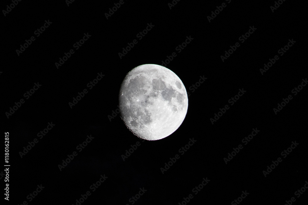 Wall mural waxing gibbous moon on a black background.