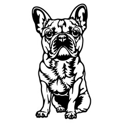 French Bulldog Dog Breed - Pet Vector Cut file, Dog Silhouette Stencil - Cricut file