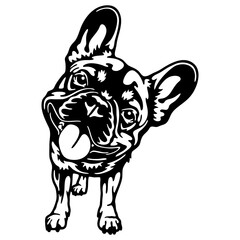 Obraz premium French Bulldog Dog Breed - Pet Vector Cut file, Dog Silhouette Stencil - Cricut file
