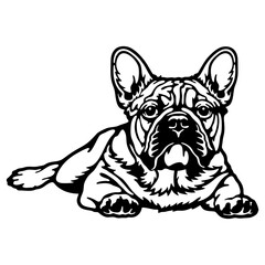 French Bulldog Dog Breed - Pet Vector Cut file, Dog Silhouette Stencil - Cricut file
