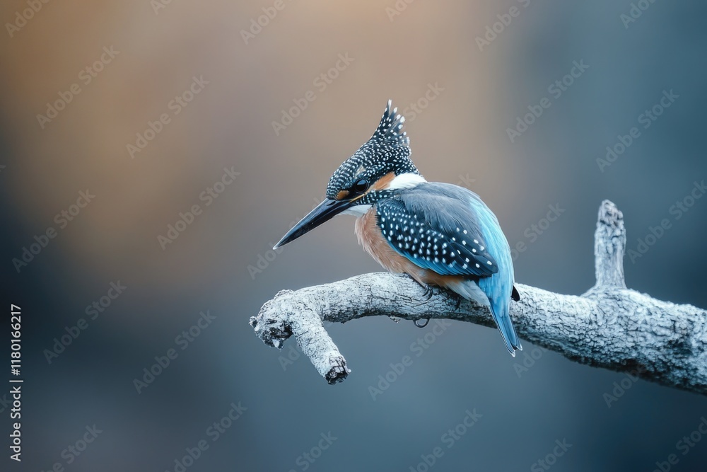 Poster a bird is seen sitting on the top of a tree branch, looking out into the distance