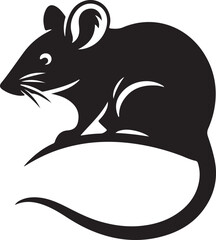 mouse on a white background