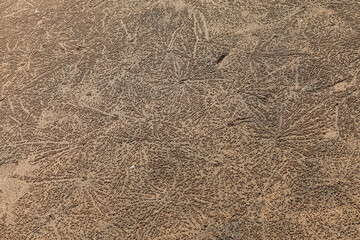 sand texture background
