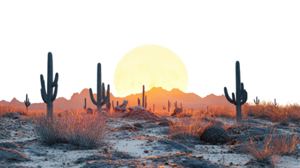Stunning Desert Sunset Scenery Isolated on White Background