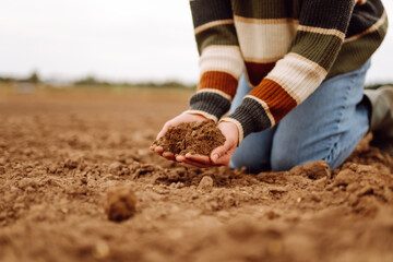 Women's hands sort through black soil in the field. Farmer is checking soil quality before sowing. Ecology, agriculture concept.