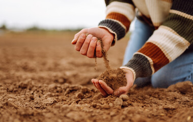 Women's hands sort through black soil in the field. Farmer is checking soil quality before sowing. Ecology, agriculture concept.