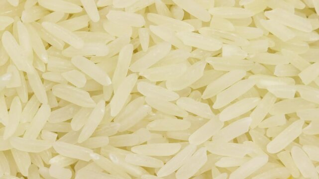 fond, riz tha&iuml; cru, en gros plan	