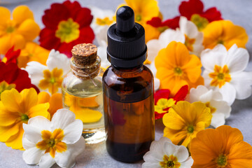 Organic cosmetics, Primula natural oil, handmade with herbal and primrose flower extracts in glass bottles