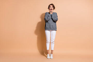 Full size photo of speechless woman dressed grey pullover white pants hold palms on cheeks staring...