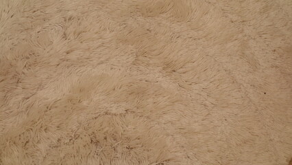 Close-up texture of a soft, beige shaggy carpet with intricate fiber details.
