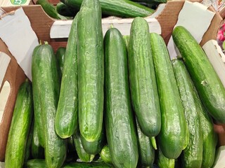 bumpy and smooth cucumbers lie in a box in a store