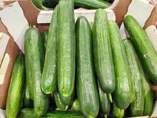 bumpy and smooth cucumbers lie in a box in a store
