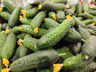 bumpy and smooth cucumbers lie in a box in a store