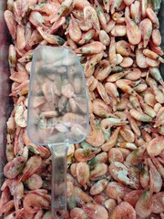 Frozen shrimp are in large quantities in the freezer compartment of the store