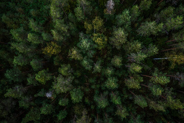 Wind farm in Scandinavia producing renewable wind energy. Finland