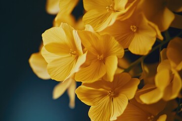 Obraz premium Close-up view of a bunch of bright yellow flowers, ideal for use in still life photography or as a decorative element,