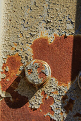 A rusty bolt is sitting on a rusted surface