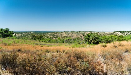 Vast African savanna landscape under a clear blue sky.