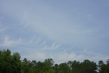 clouds that look like santa and the reindeer flying across the sky
