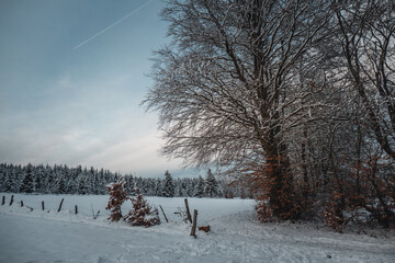Winterlandschaft in der Nordeifel mit Schnee