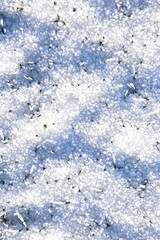 dünne Schicht Graupelschauer auf der Wiese