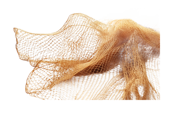 Durable Fishing Net for Catches Isolated on White Background