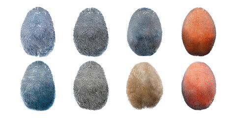 Transparent Background with Varied Egg Shapes