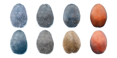 Transparent Background with Varied Egg Shapes
