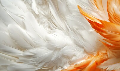 Fototapeta premium Close up of a feathery pattern with a mix of white and orange feathers. The feathers are arranged in a way that creates a sense of movement and depth, giving the impression of a dynamic
