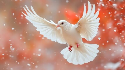 Fototapeta premium White Dove in Flight, Symbolizing Peace and Freedom, Ideal for Nature and Wildlife Enthusiasts