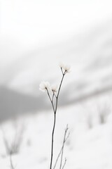 soft background greeting card with flower