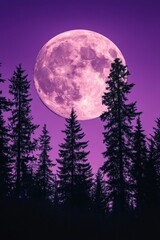 Fototapeta premium Full moon in purple sky