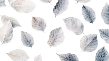 Fototapeta premium dried leaves on a white background png