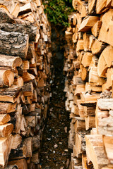 stacks of firewood in a rustic forest setting ready for winter