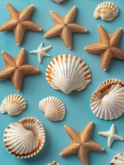 Starfishes and shells on blue surface