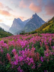 Mountain valley with vibrant mood and wildflowers in bloom