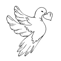 First communion symbol with dove of peace and heart design for religious celebrations. Hand drawn. Black and white vector illustration. Valentine Day