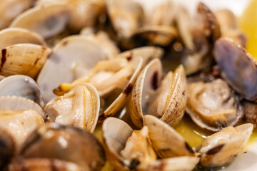 Clams from Galicia, La Coruña, (Corunna), Galicia, spain