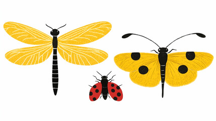 Colorful insects, dragonfly, butterfly, ladybug, flat design, isolated on white.