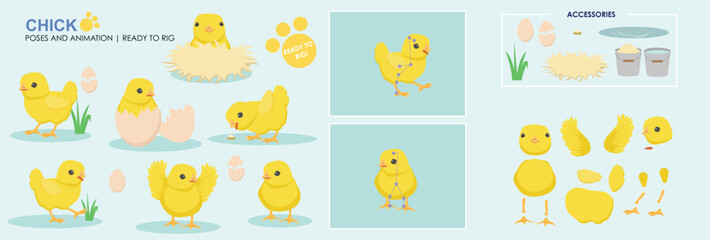 Cute Chick, chicken, hatching from egg, character, vector set collection of poses ready to animate. 