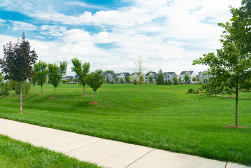 Row of Detached Homes with large lawns. Summer day, blue sky.