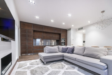 Exclusive interior design of the studio apartment. A light gray sofa by the fireplace, a carpet with a geometric pattern. Kitchen set made of dark wood.