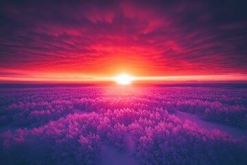 A drone captures the Swabian Forest at winter sunrise in Baden-W&uuml;rttemberg, Germany.