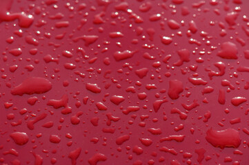Raindrops glisten on a vibrant red surface, capturing the beauty of nature and color in harmony