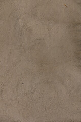 Earthy texture reveals subtle patterns of time and nature in a serene outdoor setting during late afternoon light