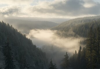 fog over the mountains