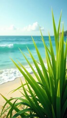 Obraz premium Long blades of grass swaying gently in the ocean breeze, nature, grass, sand