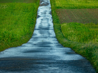 Feuchte Teerstrasse